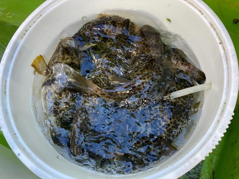 468763922_18276982162219268_949833116212650492_n