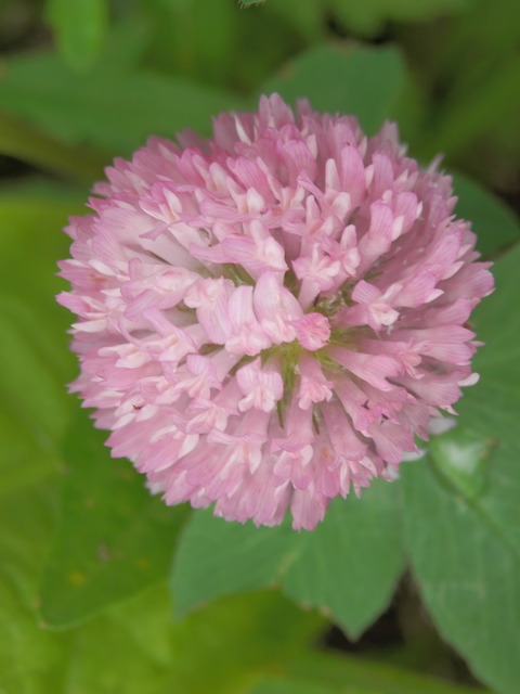 P7210074
