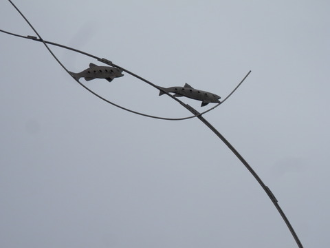 P7210066