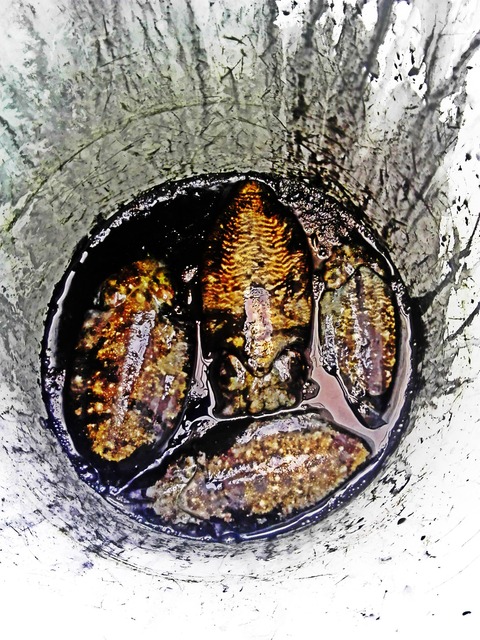 C360_2015-11-14-11-18-55-148