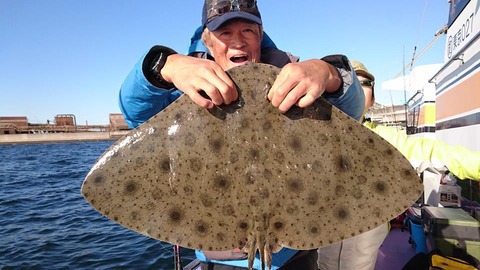 46683466_658375151223435_8341629377133412352_n