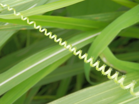 P7210021