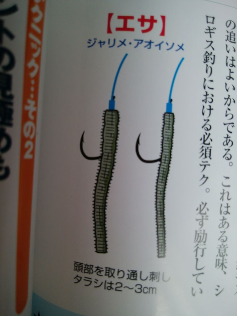 チョン掛けと刺し通し 林良一ブログ Ryo S Method