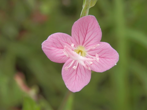 P7210011