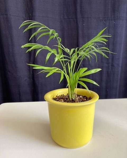 488873195_9510420865716170_3188772463744269825_n_0