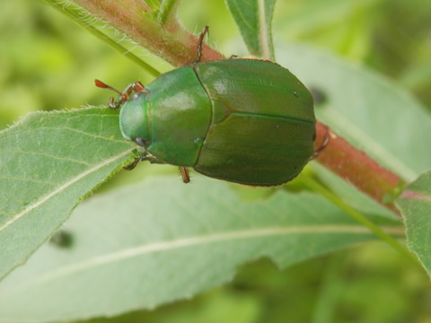P7210085