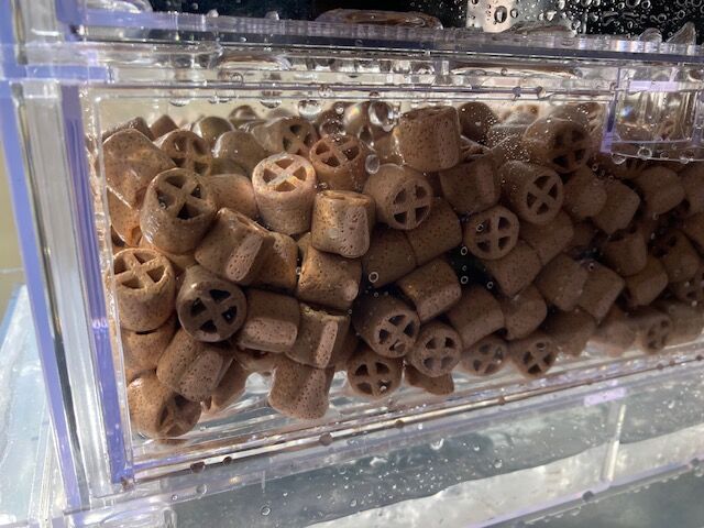 水槽を本格的にリセット！ : 林良一ブログ RYO'S METHOD