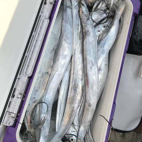 53369503_2582348488473960_826047744324927488_n