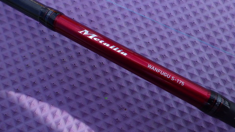 RIMG7900