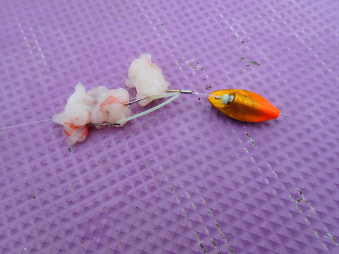 P5060053