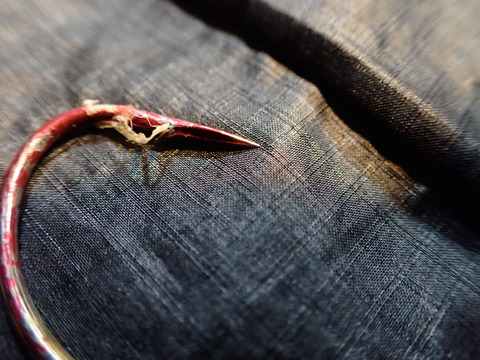 P3250003