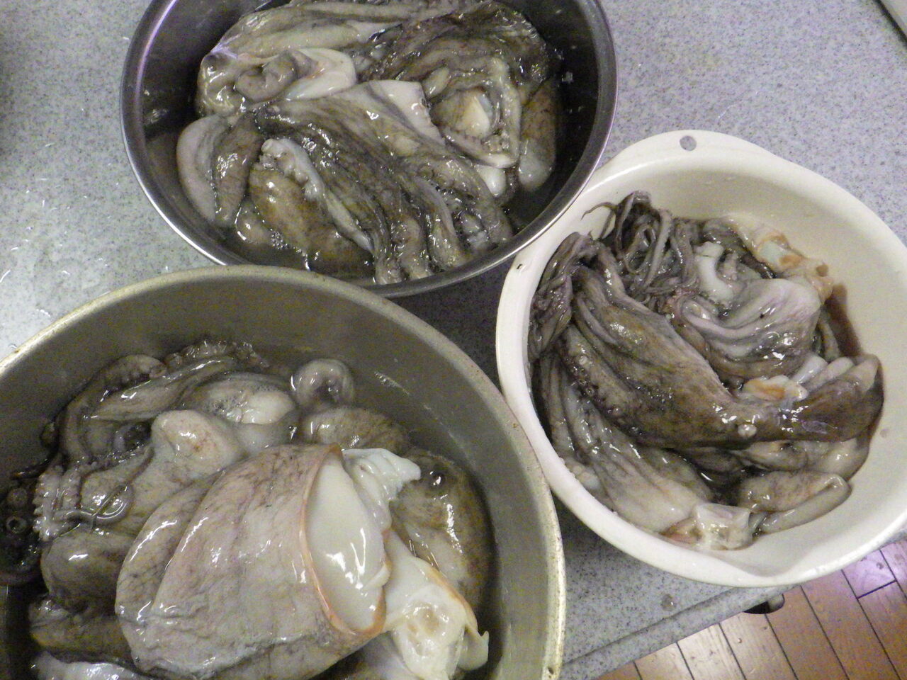 沢山のタコを茹でてみました 林良一ブログ Ryo S Method