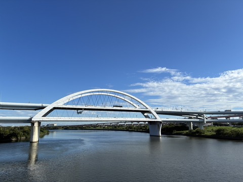 S__22822919_0