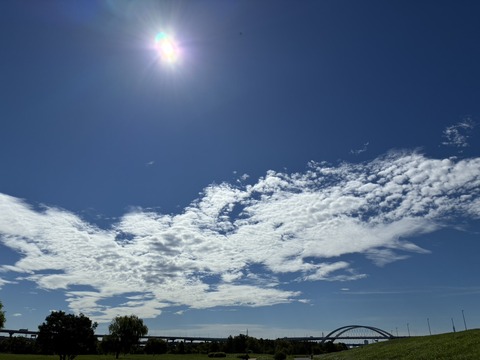 S__22822974_0