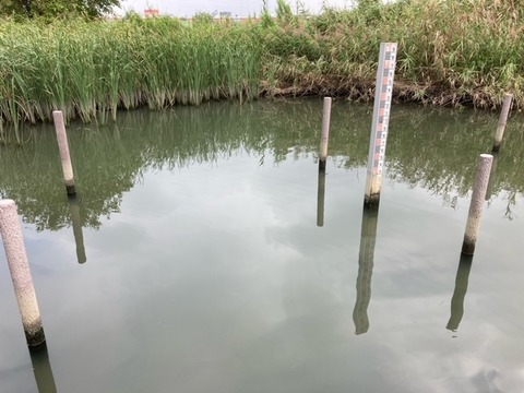 image8