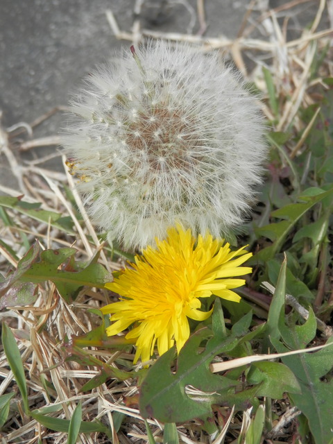 P3250051