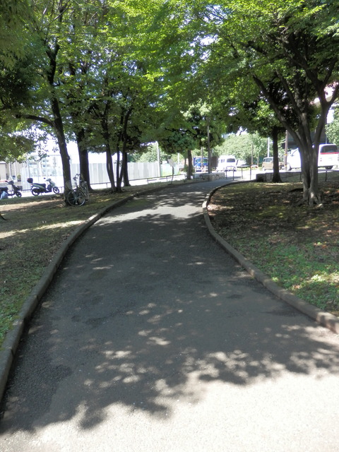 P6200011