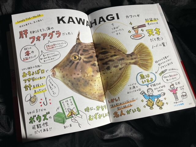 Amazonランキング1位 お魚イラストレシピ大百科 林良一ブログ Ryo S Method