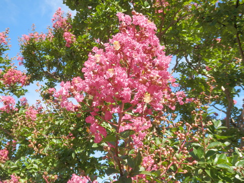 P9040010