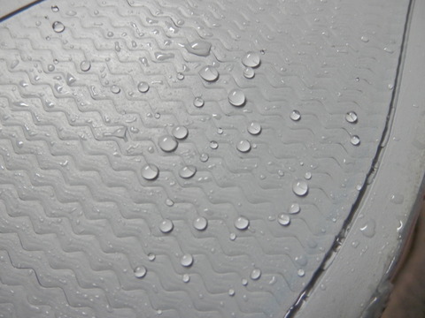 P6210011