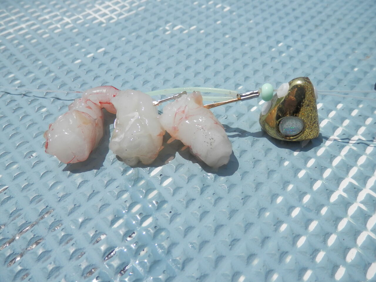 LCで湾フグを釣ってみました : 林良一ブログ RYO'S METHOD LCで湾フグを釣ってみました : 林良一ブログ RYO'S METHOD