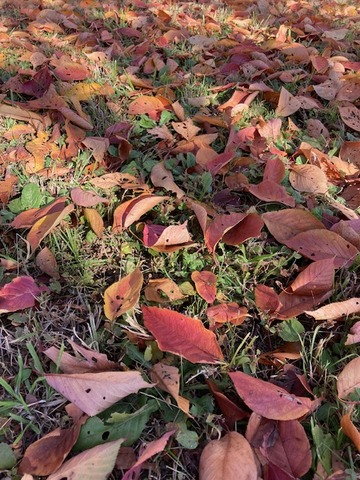 image3