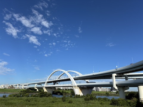 S__22822921_0