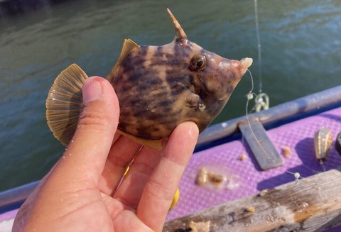 image0-2-1-e1759184427748