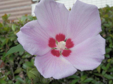 P7200015