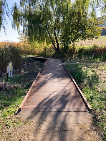 image6