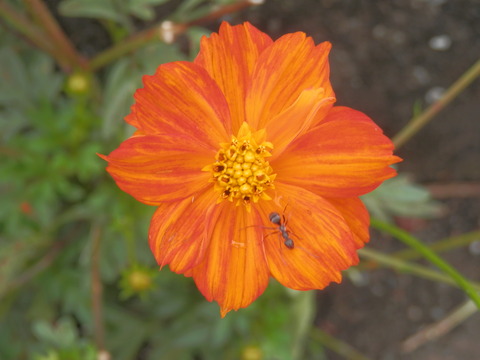 P7210068