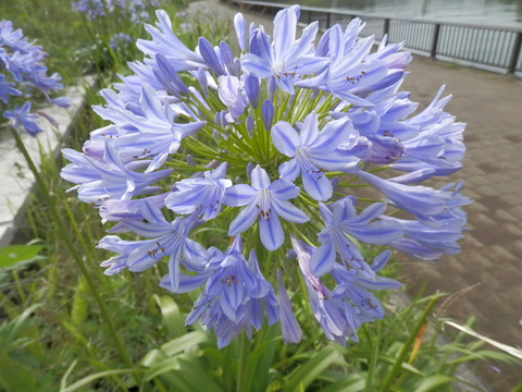 P7200010