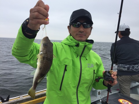 PD1-1494140403-8-526