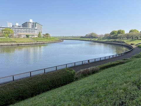 S__21659662_0