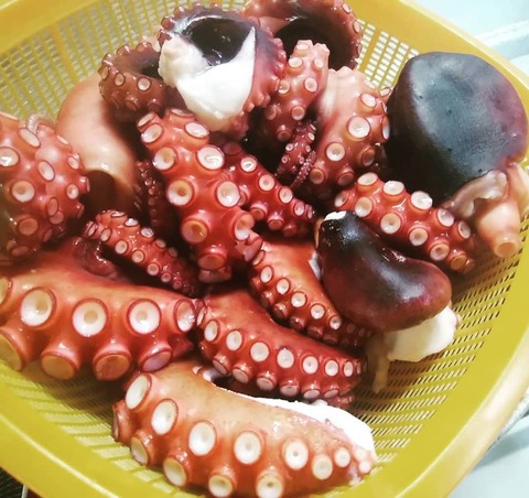 46458073_1935056443252688_1172290175024234496_n