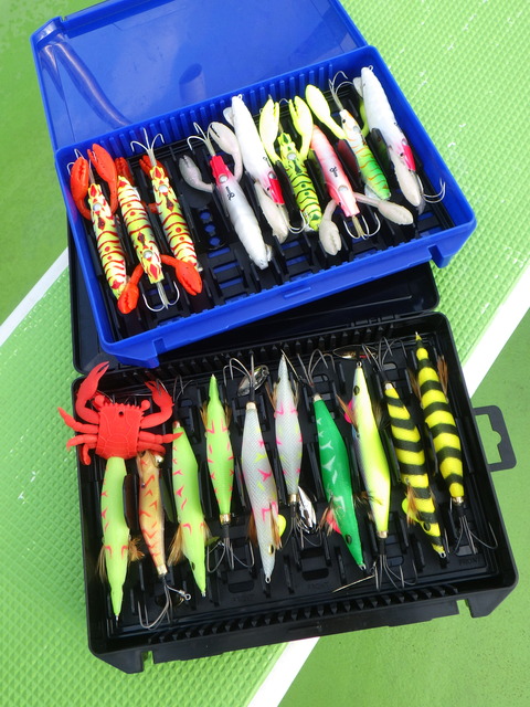 RIMG5553