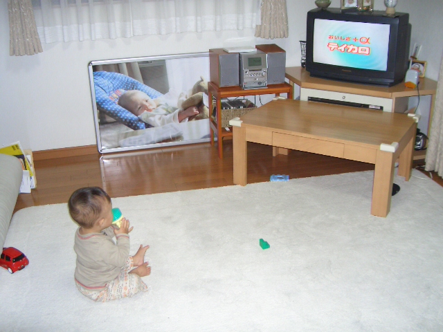 テレビ大好き Ryosuke