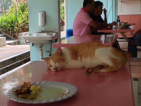 ブログ初めました @Ryotaro