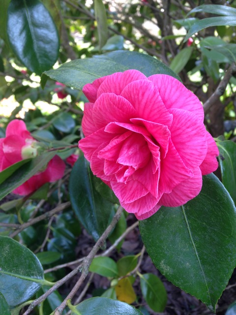 現地で物を買う時のポイント＠さとみん