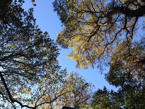 課題＠さとみん