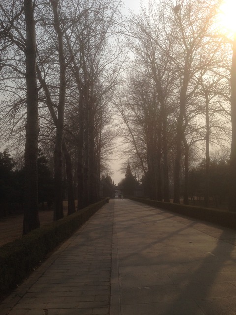 北京大学授業紹介　-チャイナ・モデルとは？-/こーしろー