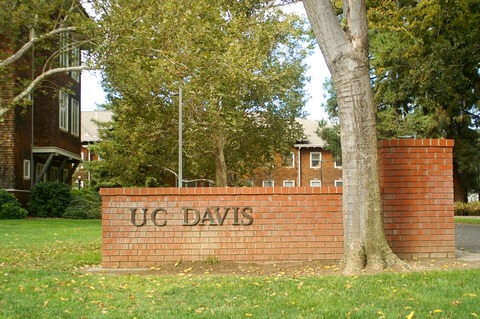 カリフォルニア大学 デービス校 留学という名のモラトリアム