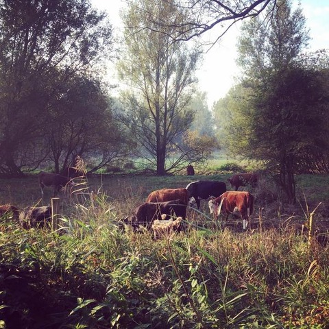 トラベルはトラブル(＾◇＾)なお