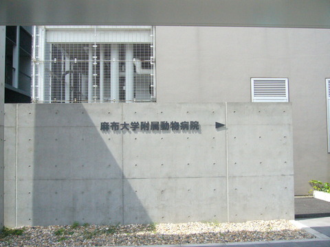 初めまして＠りん