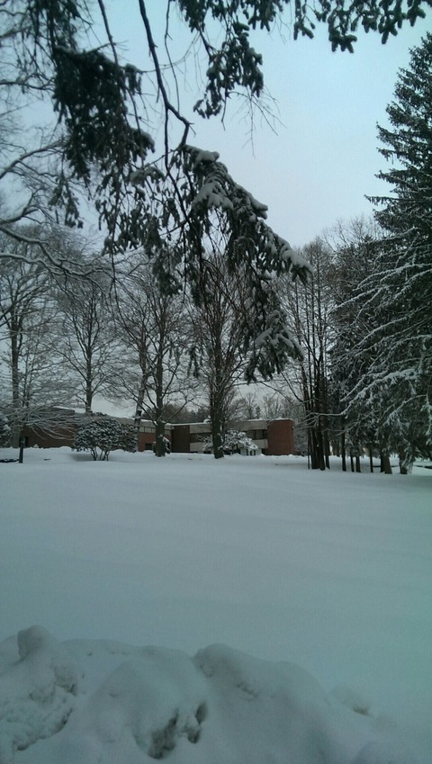 三月ですねー。みきお