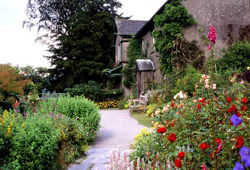 はじめまして◇なお