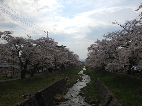 日米の公共政策系大学院比較/こーしろー