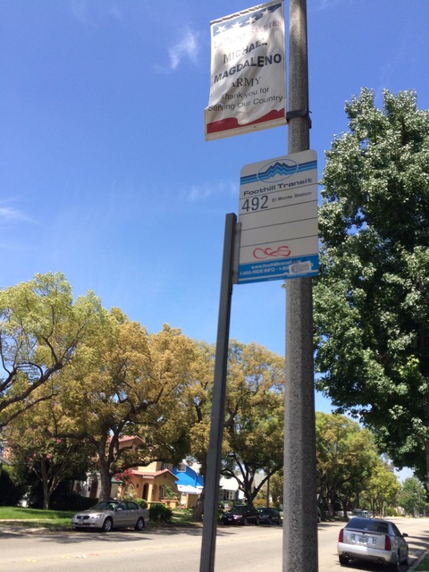 はじめまして( ^ω^ )りさうら