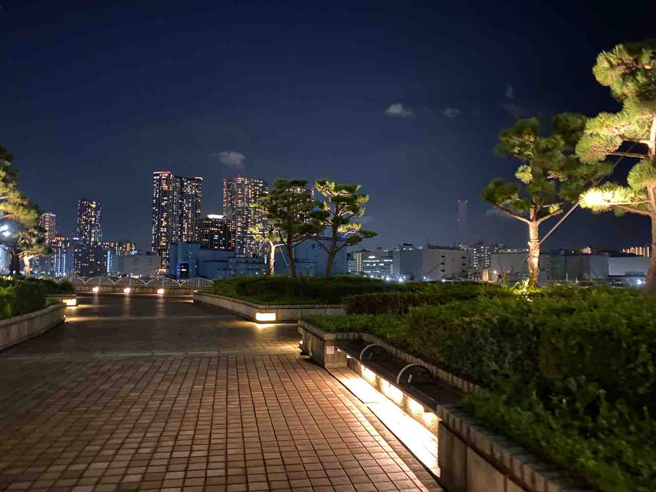 東京湾の夜景を一望 竹芝埠頭編 りょう散歩