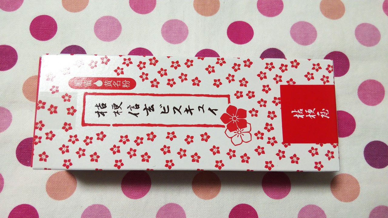19年10月 リジイの日記 19年10月 リジイの日記